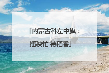 内蒙古科左中旗：插秧忙 待稻香