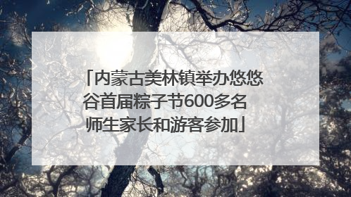 内蒙古美林镇举办悠悠谷首届粽子节600多名师生家长和游客参加