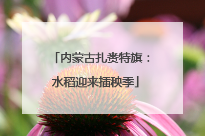 内蒙古扎赉特旗：水稻迎来插秧季