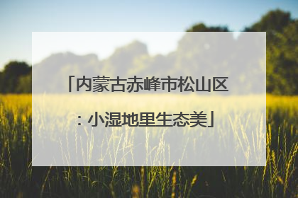内蒙古赤峰市松山区：小湿地里生态美