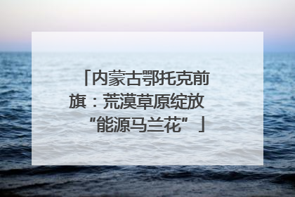 内蒙古鄂托克前旗：荒漠草原绽放“能源马兰花”