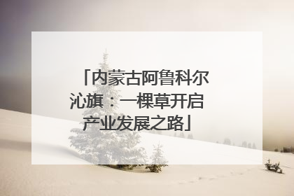内蒙古阿鲁科尔沁旗：一棵草开启产业发展之路