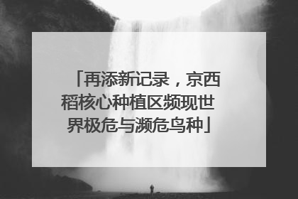再添新记录，京西稻核心种植区频现世界极危与濒危鸟种