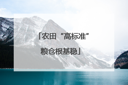 农田“高标准” 粮仓根基稳