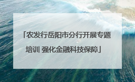 农发行岳阳市分行开展专题培训 强化金融科技保障