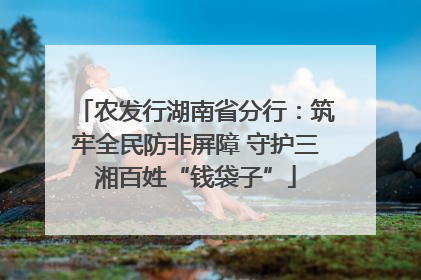农发行湖南省分行：筑牢全民防非屏障 守护三湘百姓“钱袋子”