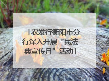 农发行衡阳市分行深入开展“民法典宣传月”活动