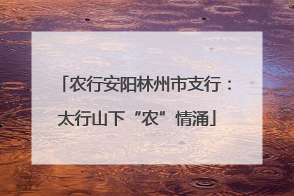 农行安阳林州市支行：太行山下“农”情涌