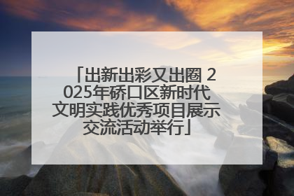 出新出彩又出圈 2025年硚口区新时代文明实践优秀项目展示交流活动举行