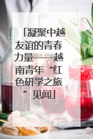 凝聚中越友谊的青春力量——越南青年“红色研学之旅”见闻