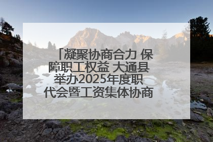凝聚协商合力 保障职工权益 大通县举办2025年度职代会暨工资集体协商现场观摩交流活动