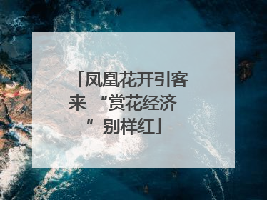 凤凰花开引客来 “赏花经济”别样红