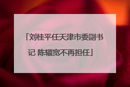刘桂平任天津市委副书记 陈辐宽不再担任