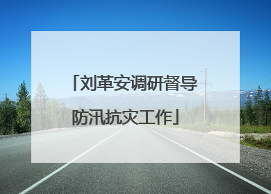 刘革安调研督导防汛抗灾工作