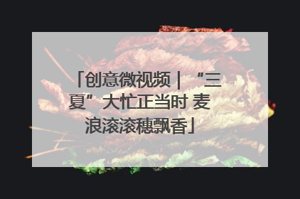 创意微视频｜“三夏”大忙正当时 麦浪滚滚穗飘香