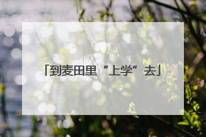 到麦田里“上学”去