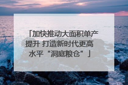 加快推动大面积单产提升 打造新时代更高水平“洞庭粮仓”
