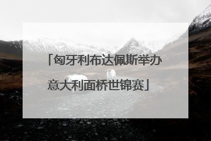 匈牙利布达佩斯举办意大利面桥世锦赛