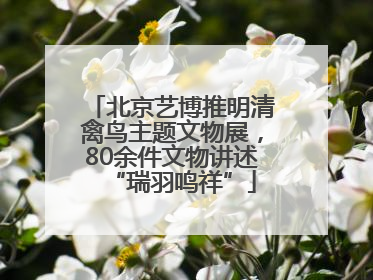 北京艺博推明清禽鸟主题文物展，80余件文物讲述“瑞羽鸣祥”