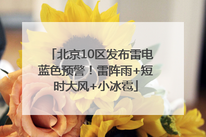 北京10区发布雷电蓝色预警！雷阵雨+短时大风+小冰雹