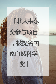 北大韦东奕参与项目，被提名国家自然科学奖