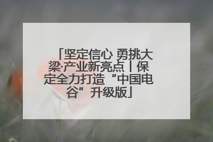 坚定信心 勇挑大梁·产业新亮点丨保定全力打造“中国电谷”升级版