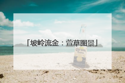 坡岭流金：萱草图景