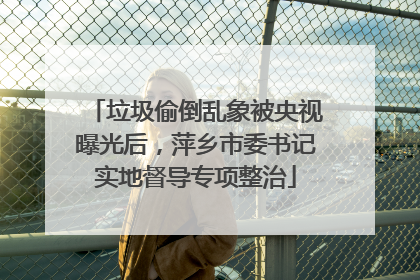 垃圾偷倒乱象被央视曝光后，萍乡市委书记实地督导专项整治