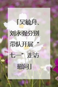 吴毓舟、刘永强分别带队开展“七一”走访慰问