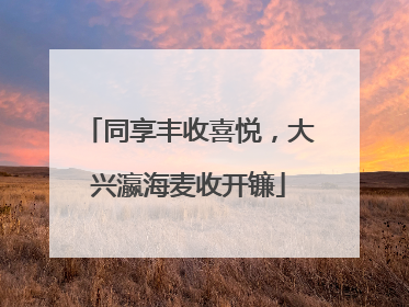 同享丰收喜悦，大兴瀛海麦收开镰