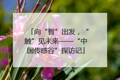 向“智”出发，“触”见未来——“中国传感谷”探访记