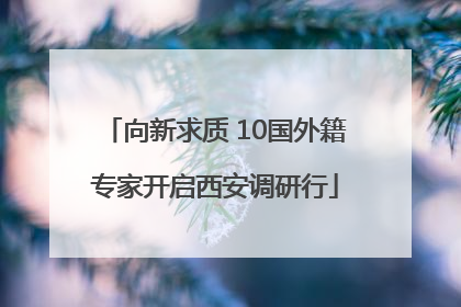 向新求质 10国外籍专家开启西安调研行