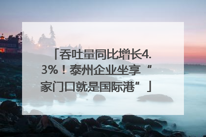 吞吐量同比增长4.3%！泰州企业坐享“家门口就是国际港”