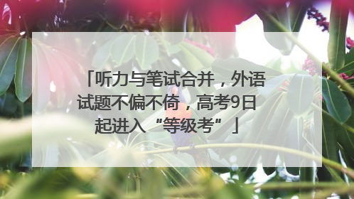 听力与笔试合并，外语试题不偏不倚，高考9日起进入“等级考”