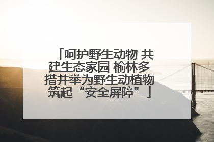 呵护野生动物 共建生态家园 榆林多措并举为野生动植物筑起“安全屏障”