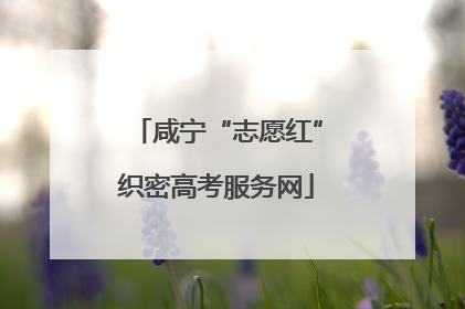 咸宁“志愿红”织密高考服务网