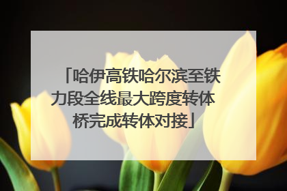 哈伊高铁哈尔滨至铁力段全线最大跨度转体桥完成转体对接