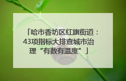 哈市香坊区红旗街道：43项指标大排查城市治理“有数有温度”
