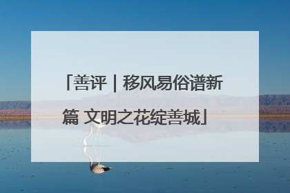 善评｜移风易俗谱新篇 文明之花绽善城