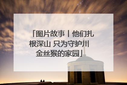 图片故事丨他们扎根深山 只为守护川金丝猴的家园