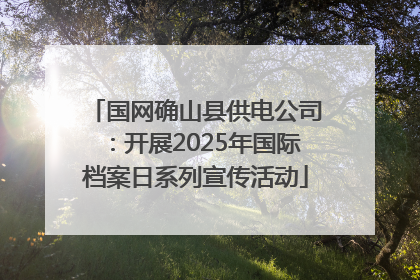 国网确山县供电公司：开展2025年国际档案日系列宣传活动