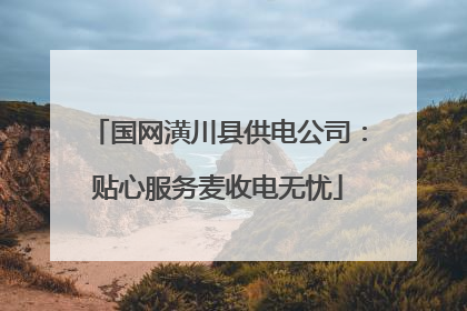 国网潢川县供电公司：贴心服务麦收电无忧