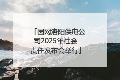 国网洛阳供电公司2025年社会责任发布会举行