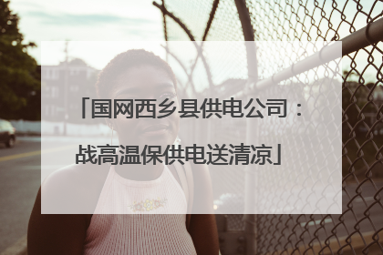 国网西乡县供电公司：战高温保供电送清凉