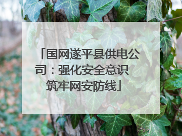 国网遂平县供电公司：强化安全意识 筑牢网安防线