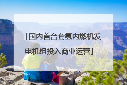 国内首台套氢内燃机发电机组投入商业运营
