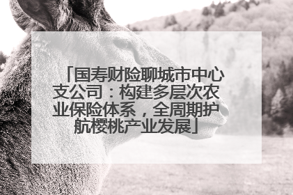 国寿财险聊城市中心支公司：构建多层次农业保险体系，全周期护航樱桃产业发展