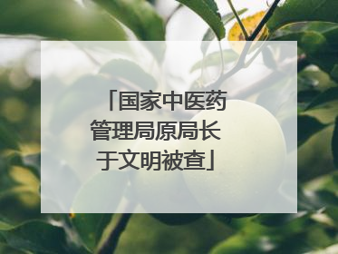 国家中医药管理局原局长于文明被查