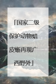 国家二级保护动物蜡皮蜥再现广西野外