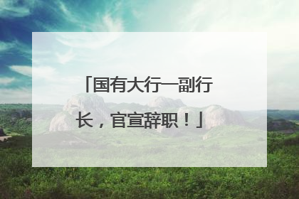 国有大行一副行长，官宣辞职！